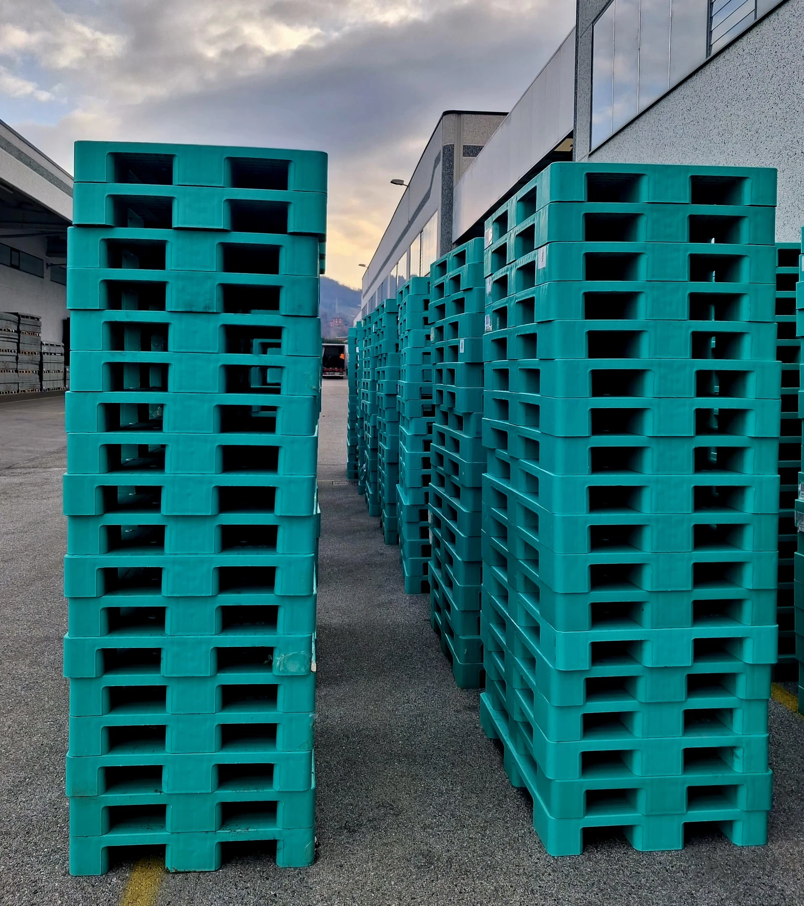 pallet usati verdi 9 piedi